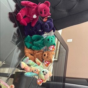 Ty Colorful Plush Bear Collection - Pink, Purple, Green, Brown, Multicolor